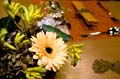 eschersenioren06boudin20070831022