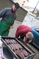 eschersenioren06boudin20070831057