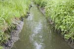 nettoyageelsebrich200704020