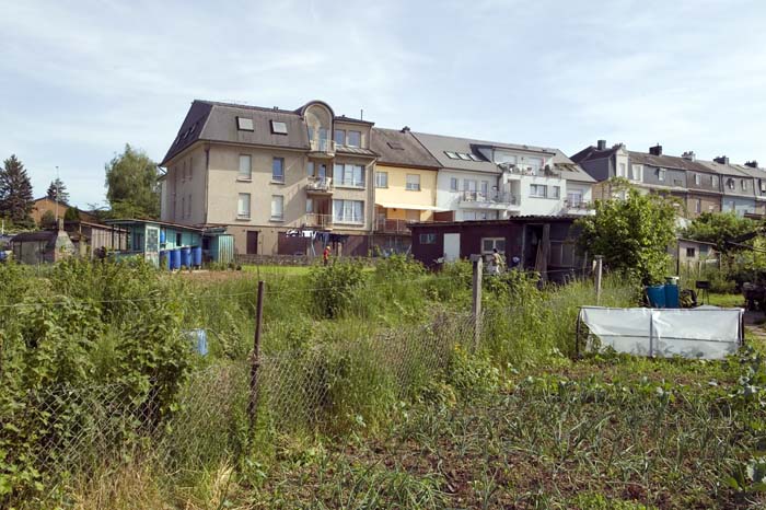elsenbrich200505003