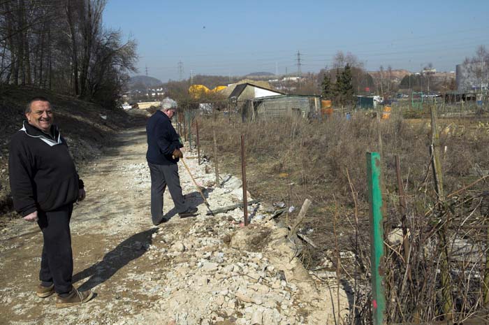 elsenbrich200603001
