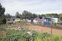 elsenbrich200505002