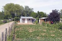 elsenbrich200505004