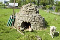 elsenbrich200505005