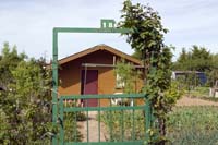 elsenbrich200505010