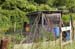 bowenacker200506004