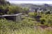 bowenacker200506011