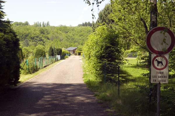 gleicht200505016