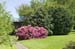gleicht200505003