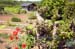 gleicht200505011