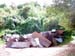 bowenacker 2004 09 001