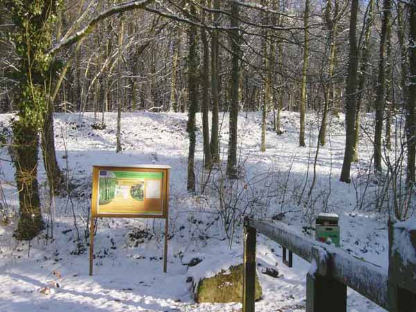 eschalzette-05