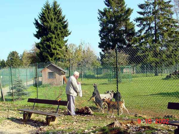 eschalzette-19