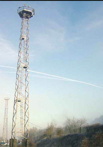 Picture-011