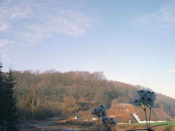 Picture-025