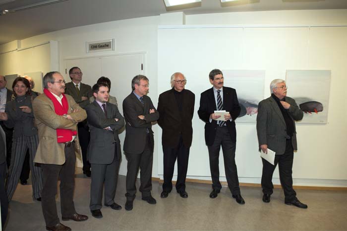 rogerbertemes200603001