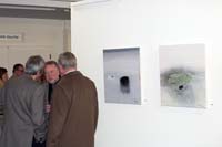 rogerbertemes200603021