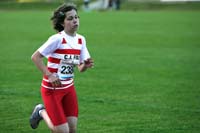 cafola12006050066