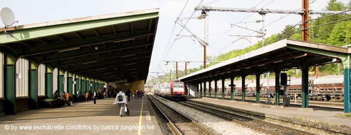 20080519eschgare017