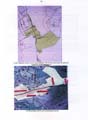 fouillesgleicht2005_6_010