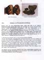 fouillesgleicht2005_6_050