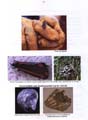 fouillesgleicht2005_6_081