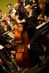 elgaredwardesch20070619085