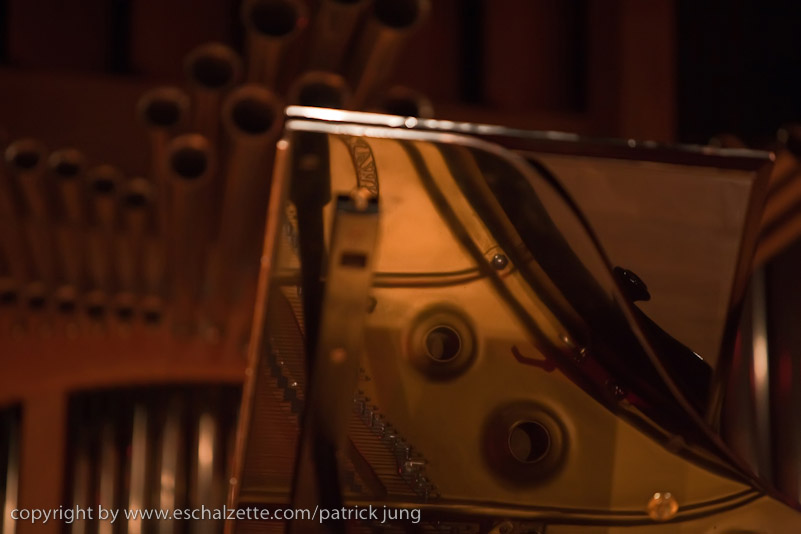20090124_annie_kraus_piano_014