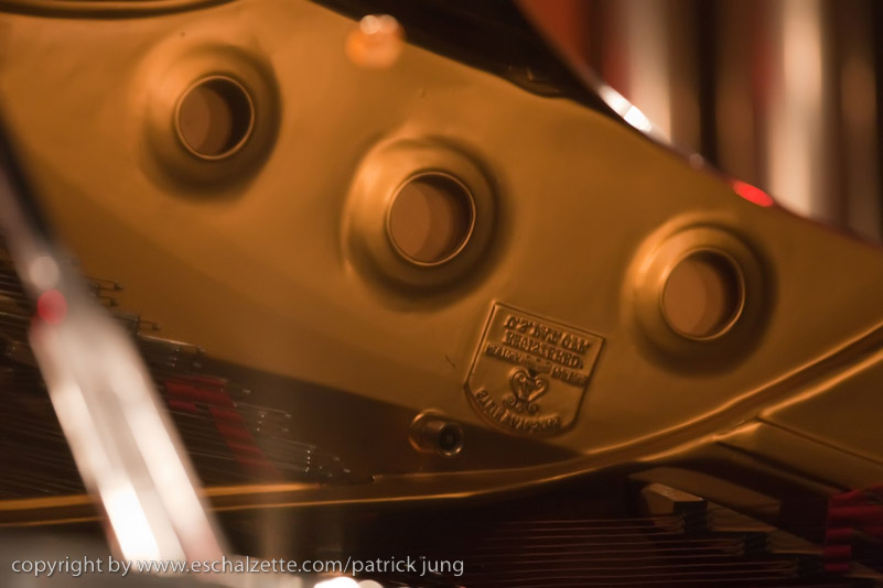 20090124_annie_kraus_piano_025