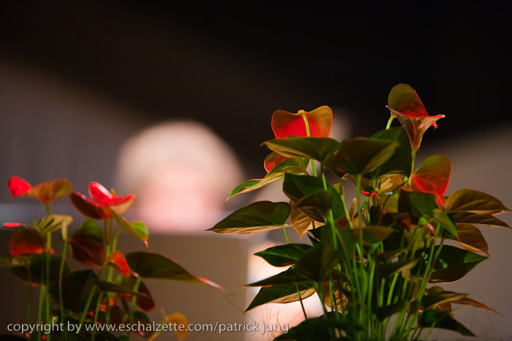 20090206_quintette_soledad_023