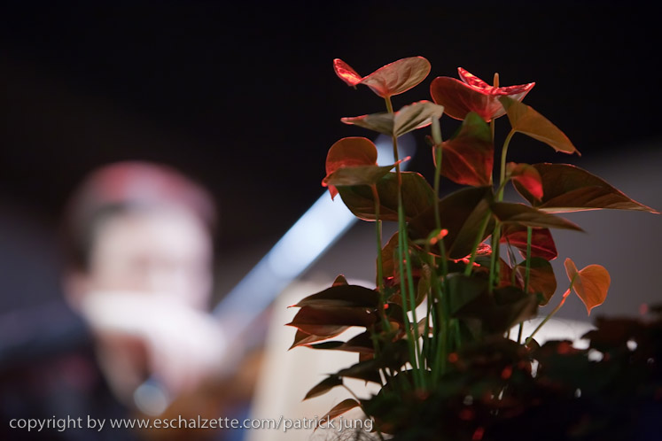 20090207_trio_elegiaque_viver_006