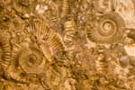collectionraymonduhres200706 099