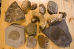 collectionraymonduhres200706 103