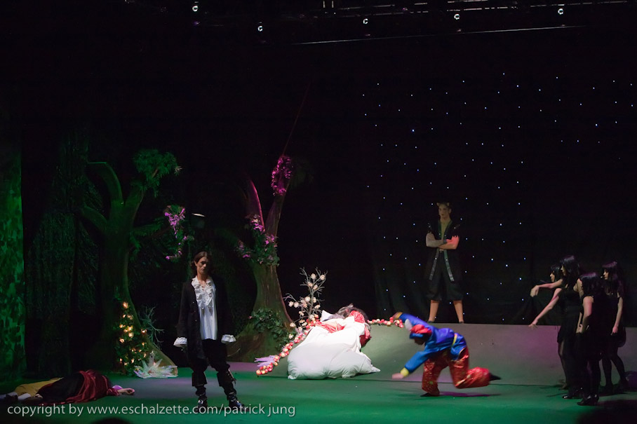 20090117_geoghelli_sommernachtstraum_077