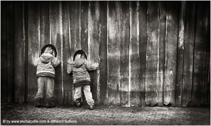 Curiosity__@-