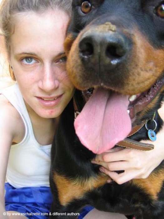 my_dog_and_I@-