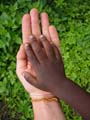 La_ternura_-_La_tendresse__@-