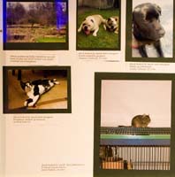 20080419kufasichnomgleck013