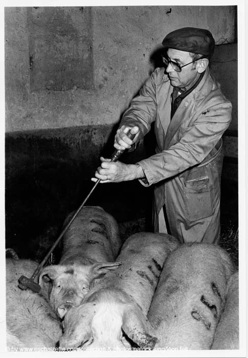 Abattoir 06