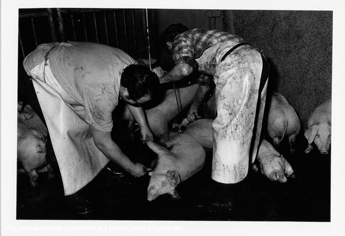 Abattoir 10