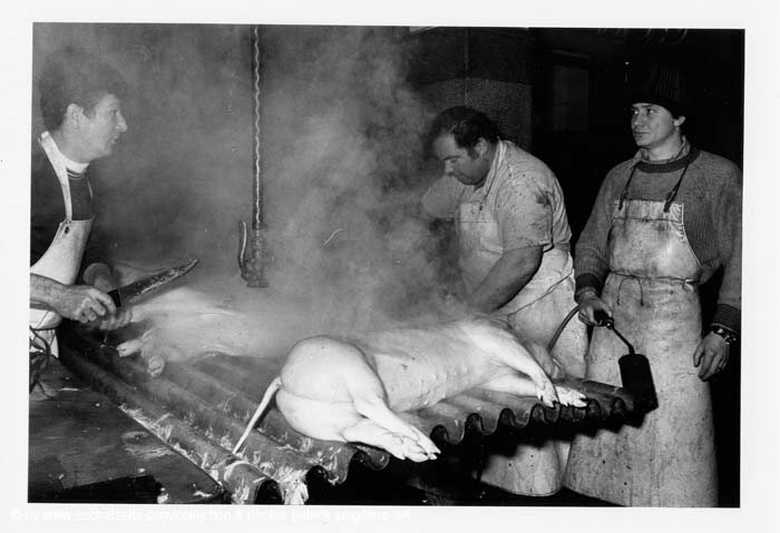 Abattoir 16