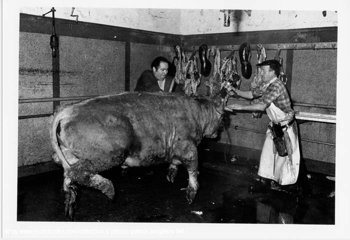 Abattoir 24