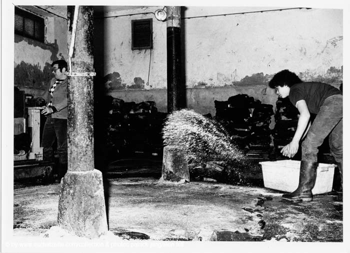 Abattoir 30