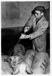 Abattoir 06