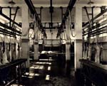 Abattoir 40