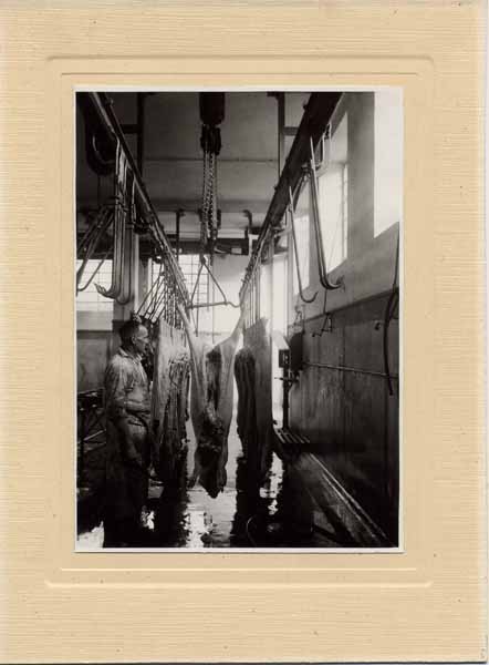 Abattoir 05
