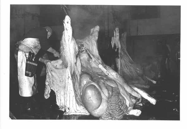 Abattoir 27