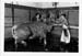 Abattoir 24