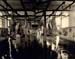 Abattoir 38