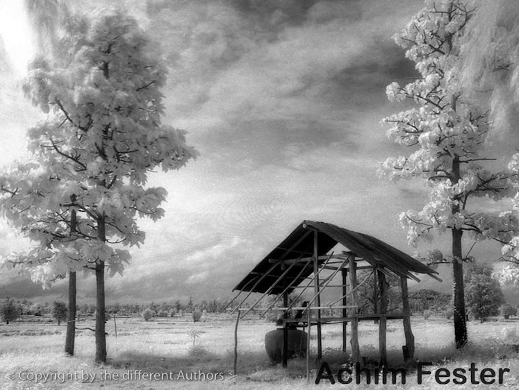 Achim fester